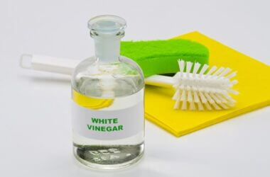 can vinegar deter rats?