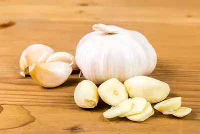 do rats hate the smell of garlic?