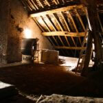 do rats leave the attic in the summer?