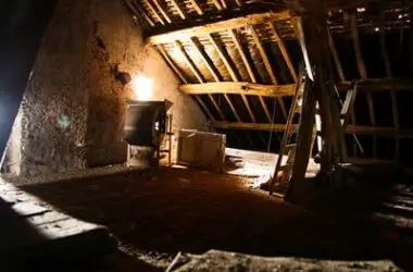 do rats leave the attic in the summer?