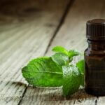 does peppermint repel rats?