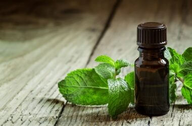 does peppermint repel rats?