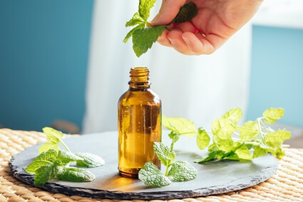 does the smell of peppermint keep rats away?