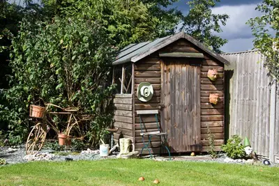 how do I get rid of rats under my shed?