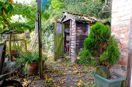 how to keep rats from getting under shed