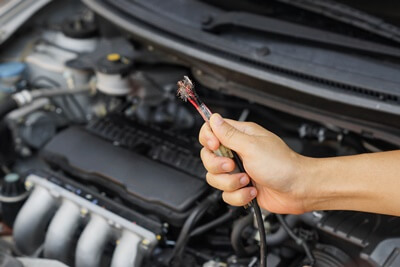 how to protect car wires from rats