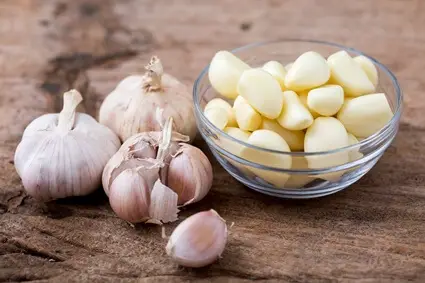 how to use garlic to repel rats