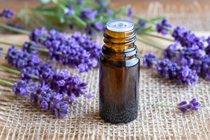 how to use lavender oil to repel rats