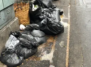 neighbors rubbish attracting rats