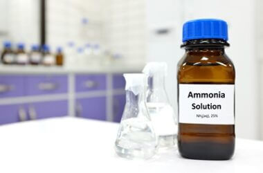 will ammonia kill rats instantly?